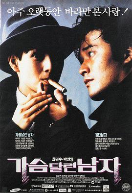 红杏双语字幕完整版